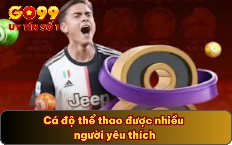 Cá độ thể thao được nhiều người yêu thích