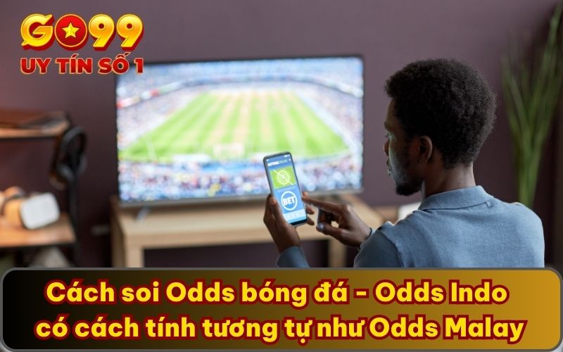 Odds là gì? Cách Soi Odds Bóng Đá Chia Sẻ Từ Chuyên Gia GO99 5 Cách soi Odds bóng đá - Odds Indo có cách tính tương tự như Odds Malay