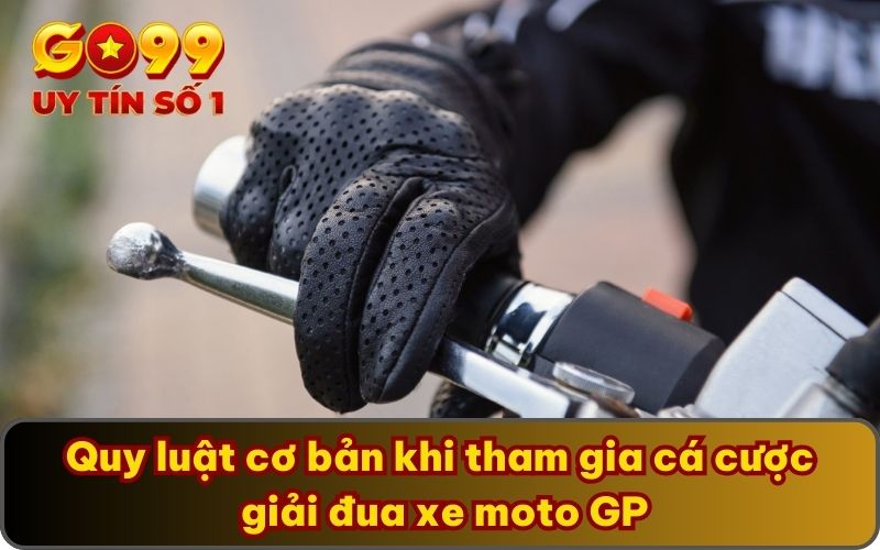 Cá Cược Giải Đua Xe Moto GP Là Gì? Luật Lệ, Cách Tham Gia 3 Quy luật cơ bản khi tham gia cá cược giải đua xe moto GP