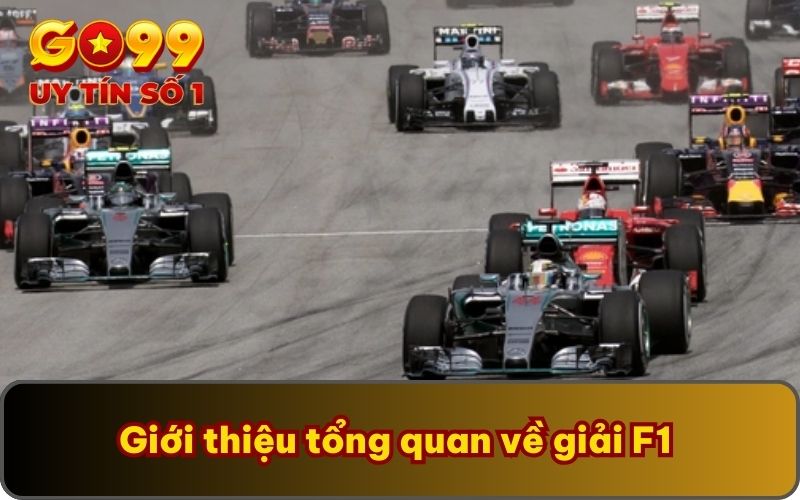 Cược Đua Xe F1 | Cách Chơi Chi Tiết Cho Thành Viên Mới 3 Quy tắc cược đua xe F1