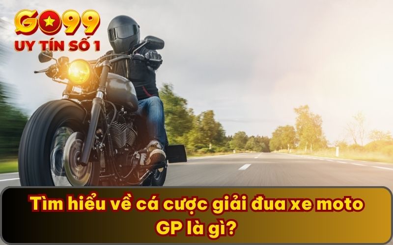 Cá Cược Giải Đua Xe Moto GP Là Gì? Luật Lệ, Cách Tham Gia 2 Tìm hiểu về cá cược giải đua xe moto GP là gì?
