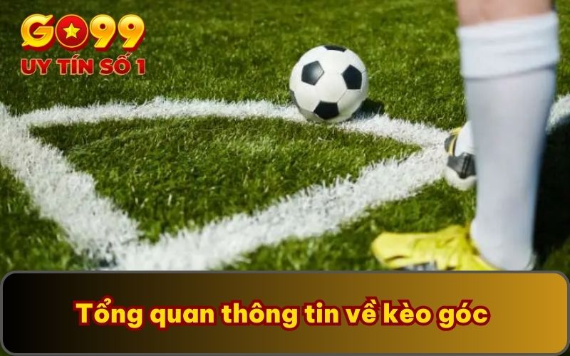 Kèo Góc | Cẩm Nang Đọc Kèo Từ A - Z Cho Người Mới Chơi 2 Tổng quan thông tin về kèo góc